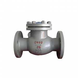 DN50 PN25 介質(zhì)：甲胺，溫度：80℃止回閥