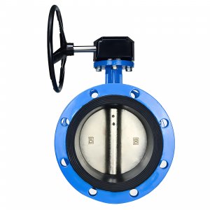 法蘭式蝸輪蝸桿蝶閥DN40，1.6Mpa（橡膠密封