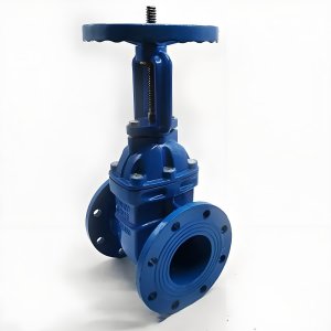 手動閘閥Z41T-16 DN50/DN65廠家直銷，上海發(fā)